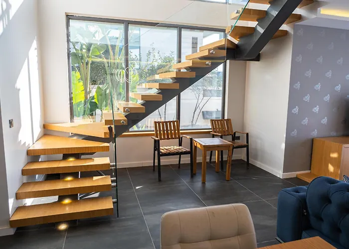 Lueks Huzurlu Yeni فيلة