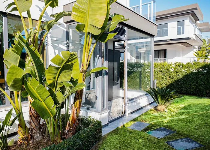 فيلة Lueks Huzurlu Yeni